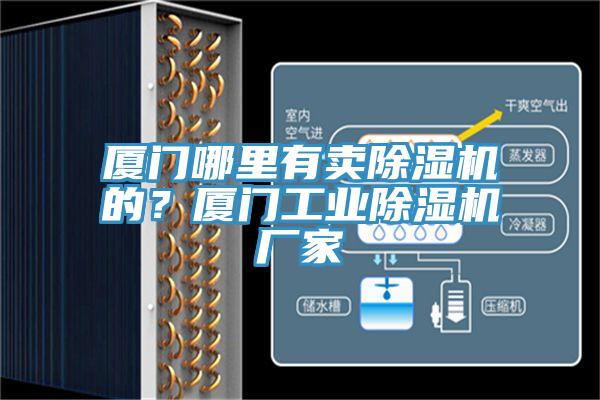 廈門哪里有賣除濕機(jī)的？廈門工業(yè)除濕機(jī)廠家