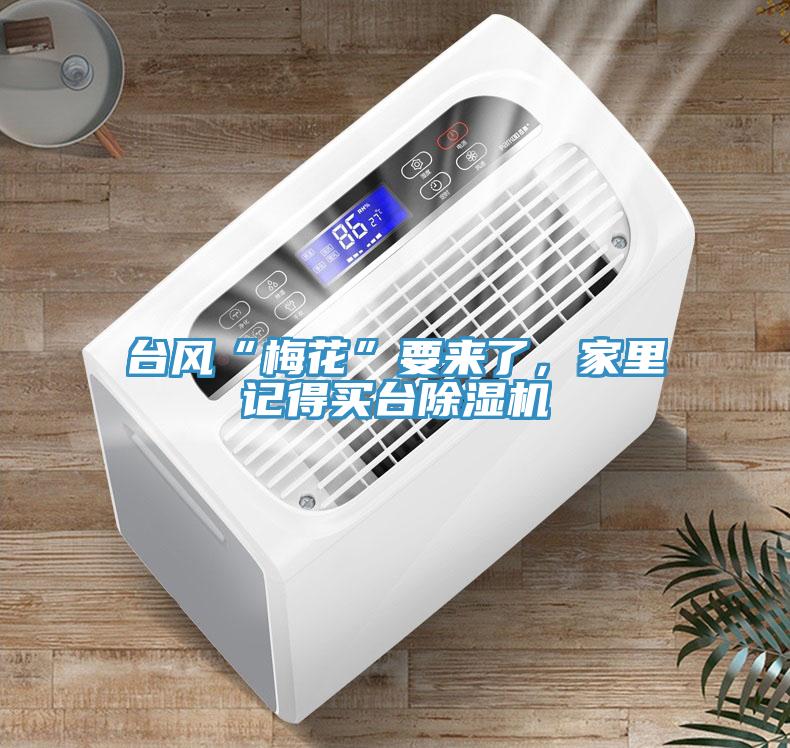 臺(tái)風(fēng)“梅花”要來了，家里記得買臺(tái)除濕機(jī)