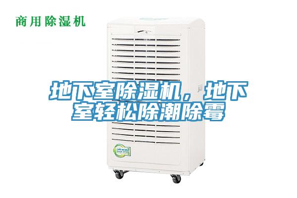 地下室除濕機(jī)，地下室輕松除潮除霉