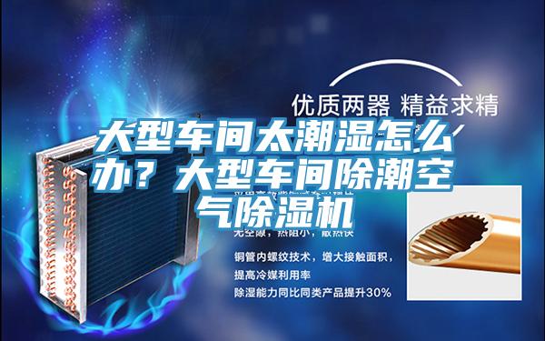 大型車間太潮濕怎么辦？大型車間除潮空氣除濕機