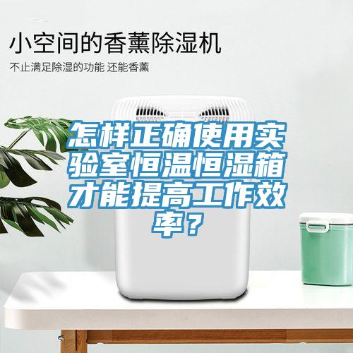 怎樣正確使用實驗室恒溫恒濕箱才能提高工作效率？