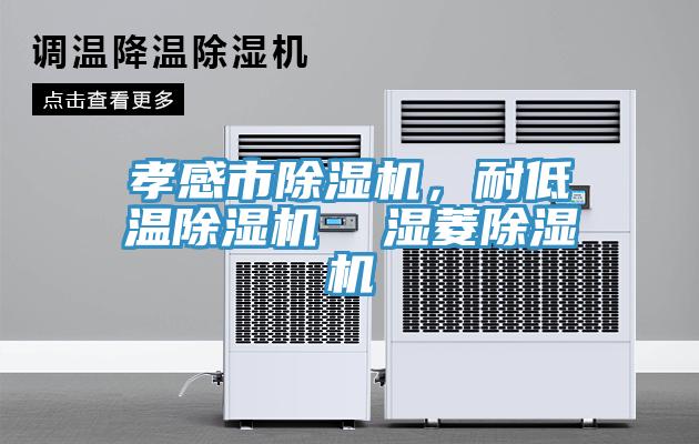 孝感市除濕機，耐低溫除濕機  濕菱除濕機