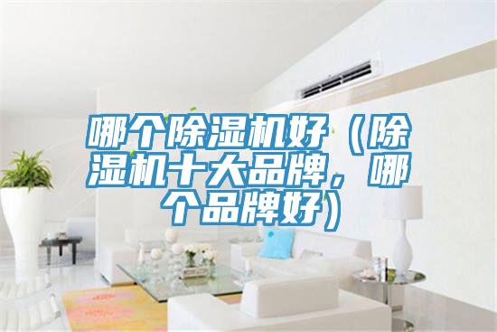 哪個除濕機(jī)好（除濕機(jī)十大品牌，哪個品牌好）