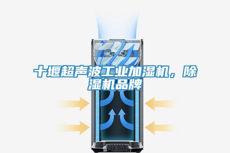 十堰超聲波工業(yè)加濕機(jī)，除濕機(jī)品牌