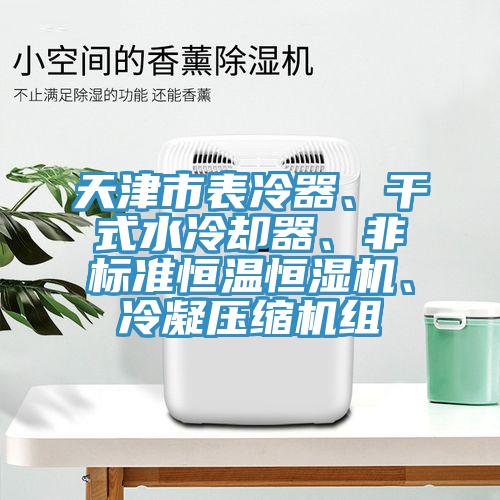 天津市表冷器、干式水冷卻器、非標(biāo)準(zhǔn)恒溫恒濕機(jī)、冷凝壓縮機(jī)組