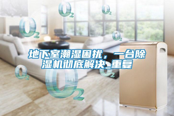 地下室潮濕困擾，一臺除濕機徹底解決_重復(fù)