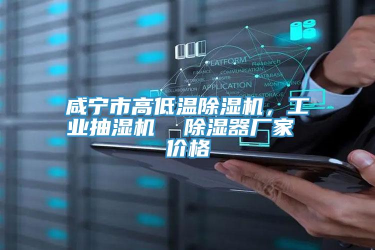 咸寧市高低溫除濕機，工業(yè)抽濕機  除濕器廠家 價格