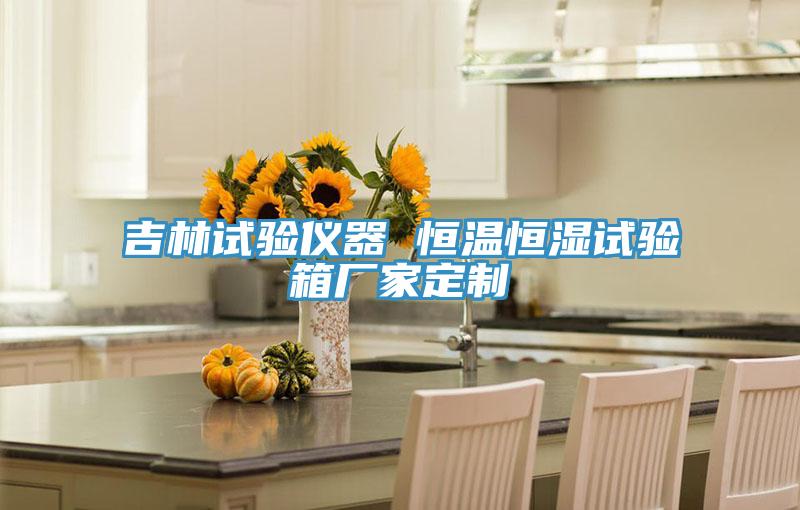吉林試驗(yàn)儀器 恒溫恒濕試驗(yàn)箱廠(chǎng)家定制