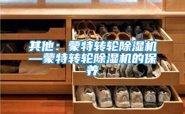 其他：蒙特轉輪除濕機—蒙特轉輪除濕機的保養(yǎng)