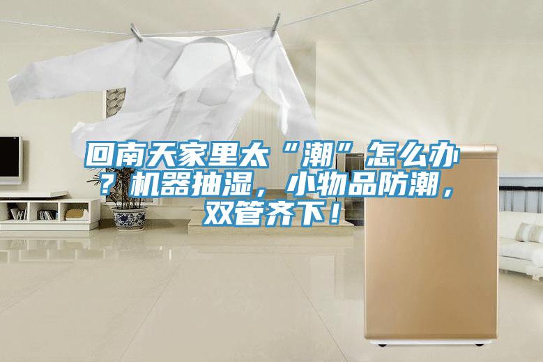 回南天家里太“潮”怎么辦？機(jī)器抽濕，小物品防潮，雙管齊下！