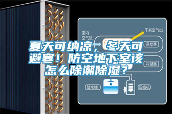 夏天可納涼，冬天可避寒！防空地下室該怎么除潮除濕？