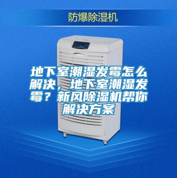 地下室潮濕發(fā)霉怎么解決，地下室潮濕發(fā)霉？新風除濕機幫你解決方案