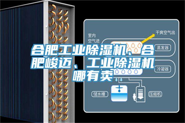 合肥工業(yè)除濕機、合肥峻邁、工業(yè)除濕機哪有賣