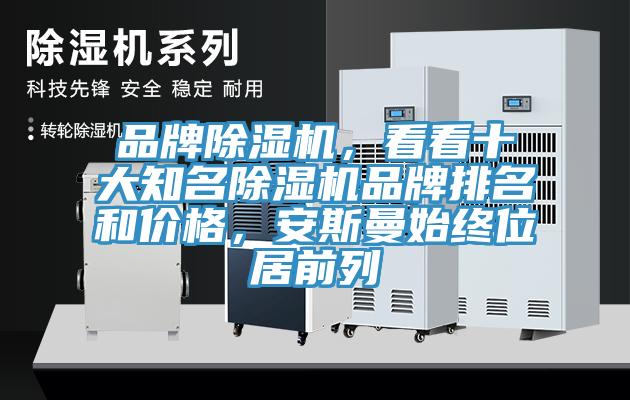 品牌除濕機，看看十大知名除濕機品牌排名和價格，安斯曼始終位居前列