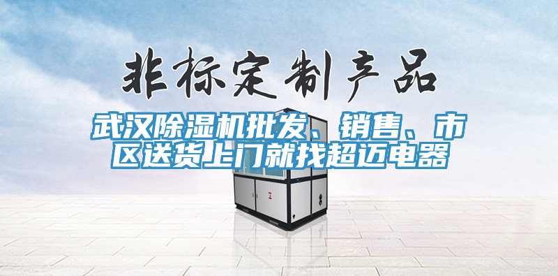 武漢除濕機(jī)批發(fā)、銷售、市區(qū)送貨上門就找超邁電器