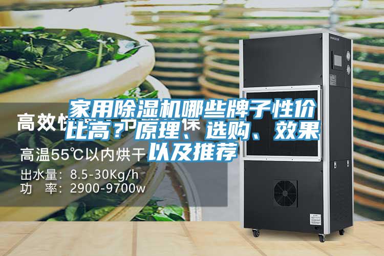 家用除濕機(jī)哪些牌子性價(jià)比高？原理、選購(gòu)、效果以及推薦