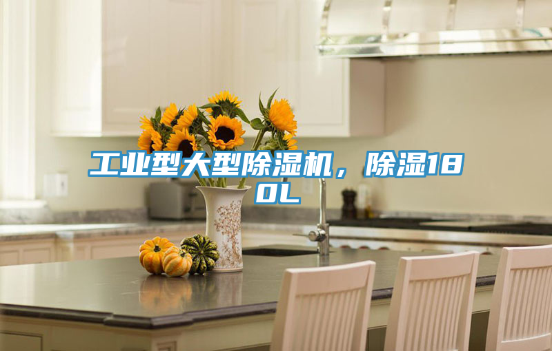 工業(yè)型大型除濕機(jī)，除濕180L