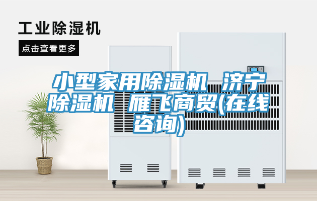 小型家用除濕機(jī) 濟(jì)寧除濕機(jī) 雁飛商貿(mào)(在線(xiàn)咨詢(xún))