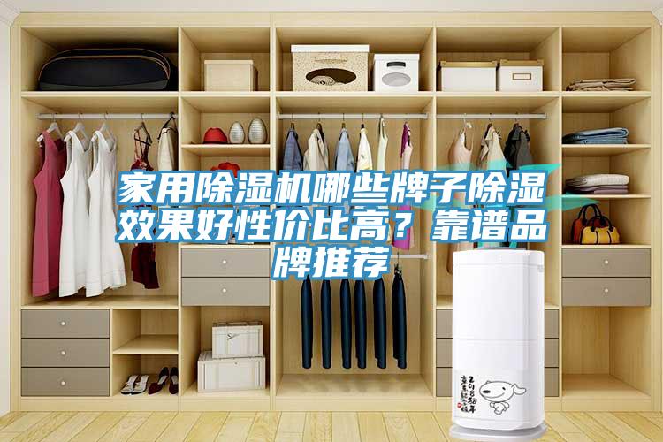 家用除濕機(jī)哪些牌子除濕效果好性價(jià)比高？靠譜品牌推薦