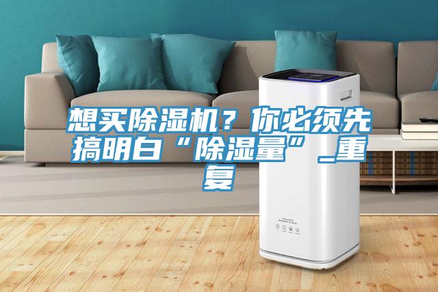 想買除濕機(jī)？你必須先搞明白“除濕量”_重復(fù)