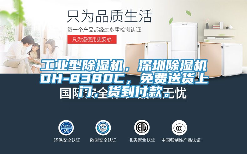 工業(yè)型除濕機(jī)，深圳除濕機(jī)DH-8380C，免費(fèi)送貨上門(mén)，貨到付款。