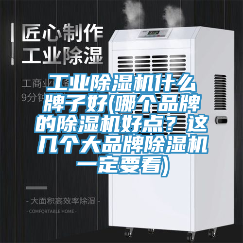 工業(yè)除濕機什么牌子好(哪個品牌的除濕機好點？這幾個大品牌除濕機一定要看)