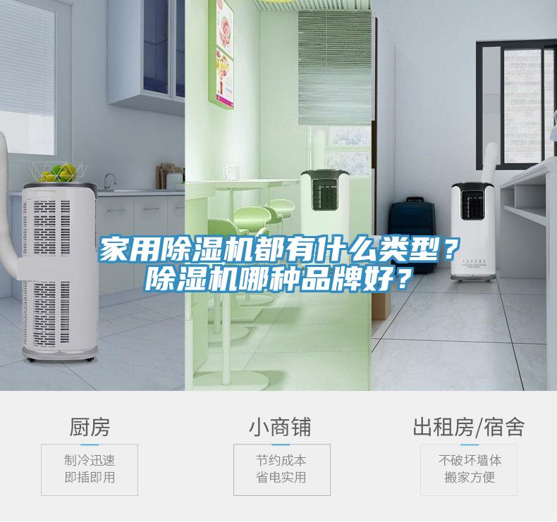 家用除濕機(jī)都有什么類型？除濕機(jī)哪種品牌好？