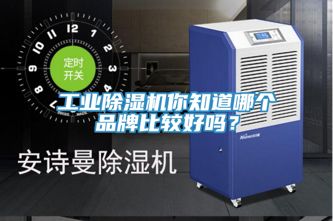 工業(yè)除濕機(jī)你知道哪個(gè)品牌比較好嗎？