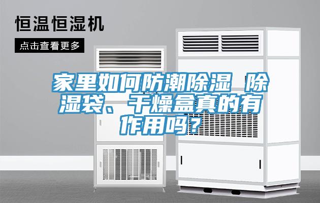 家里如何防潮除濕 除濕袋、干燥盒真的有作用嗎？