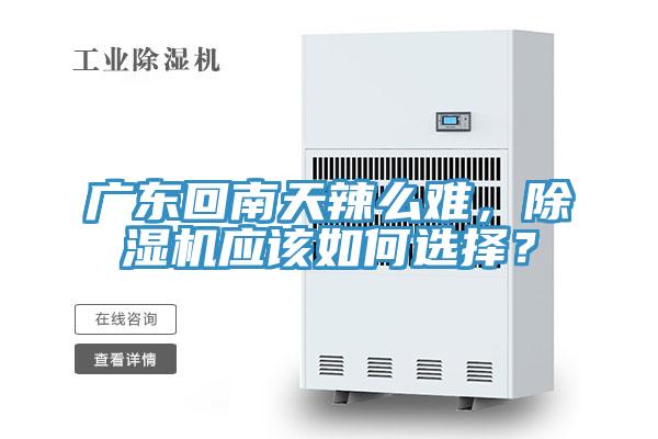 廣東回南天辣么難，除濕機應該如何選擇？