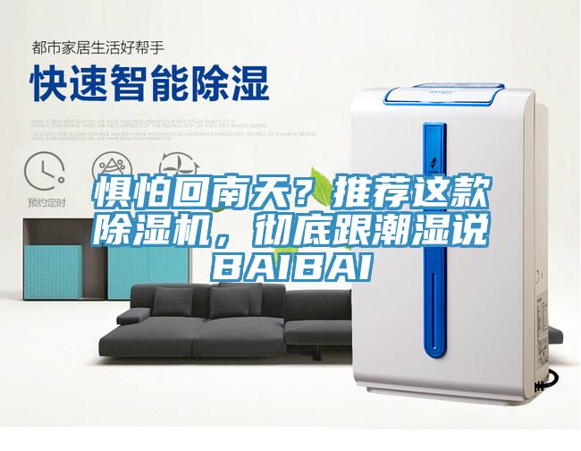 懼怕回南天？推薦這款除濕機，徹底跟潮濕說BAIBAI
