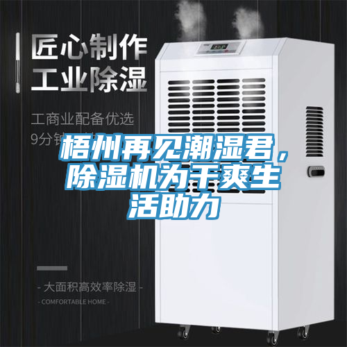 梧州再見潮濕君，除濕機為干爽生活助力