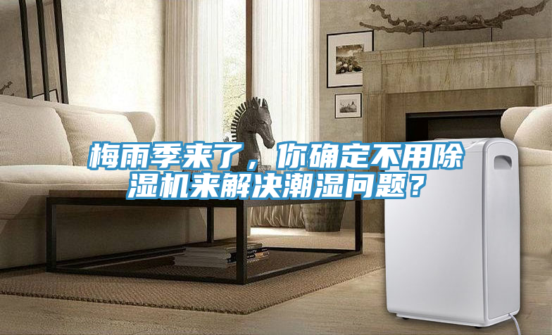 梅雨季來了，你確定不用除濕機來解決潮濕問題？
