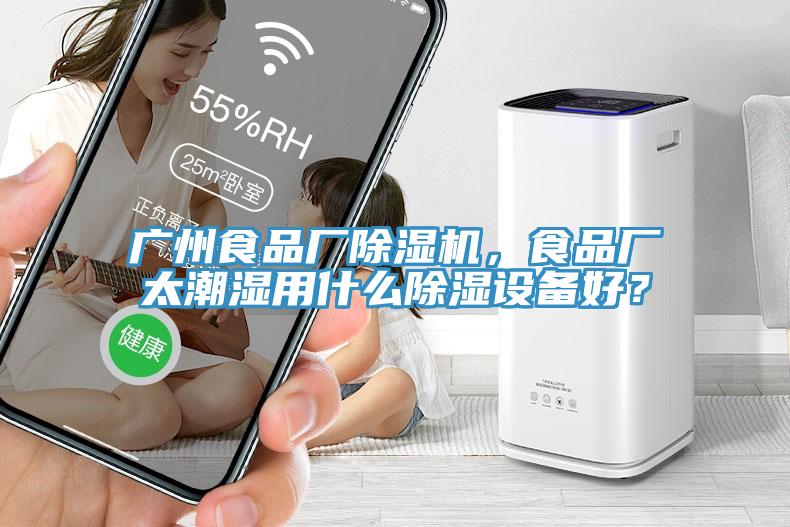 廣州食品廠除濕機(jī)，食品廠太潮濕用什么除濕設(shè)備好？