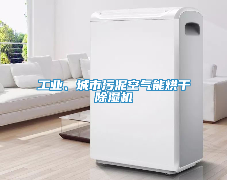 工業(yè)、城市污泥空氣能烘干除濕機(jī)