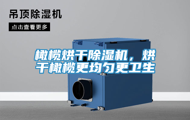 橄欖烘干除濕機，烘干橄欖更均勻更衛(wèi)生