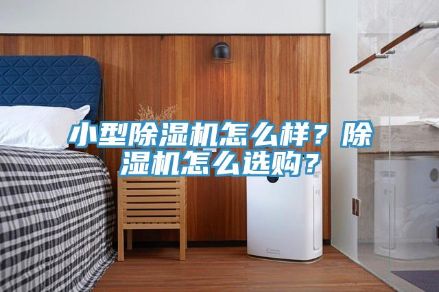小型除濕機(jī)怎么樣？除濕機(jī)怎么選購？