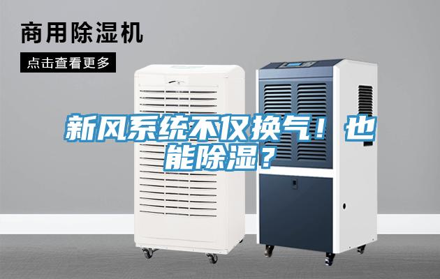 新風(fēng)系統(tǒng)不僅換氣！也能除濕？