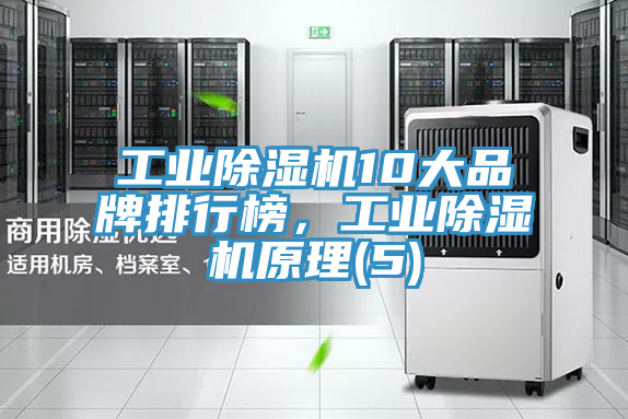 工業(yè)除濕機(jī)10大品牌排行榜，工業(yè)除濕機(jī)原理(5)