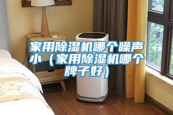 家用除濕機(jī)哪個(gè)噪聲?。矣贸凉駲C(jī)哪個(gè)牌子好）