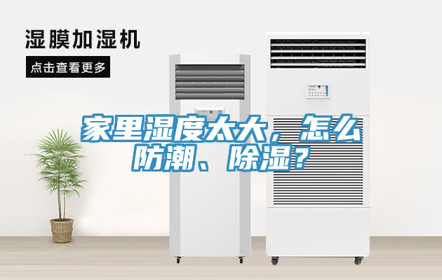 家里濕度太大，怎么防潮、除濕？