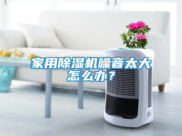 家用除濕機(jī)噪音太大怎么辦？