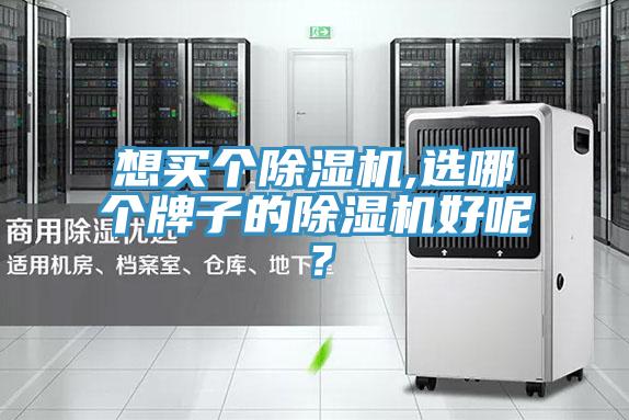 想買個(gè)除濕機(jī),選哪個(gè)牌子的除濕機(jī)好呢？