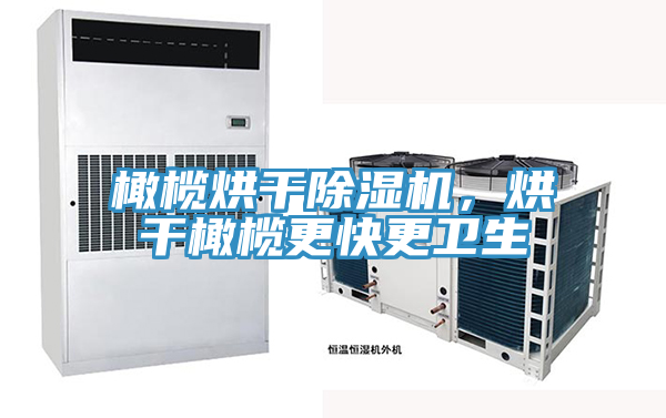 橄欖烘干除濕機，烘干橄欖更快更衛(wèi)生
