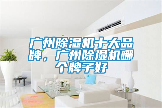 廣州除濕機(jī)十大品牌，廣州除濕機(jī)哪個牌子好