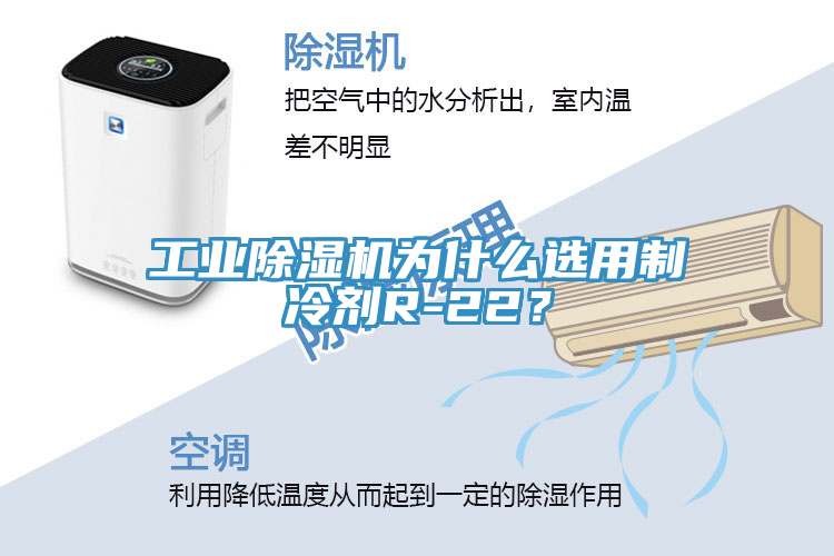 工業(yè)除濕機為什么選用制冷劑R-22？