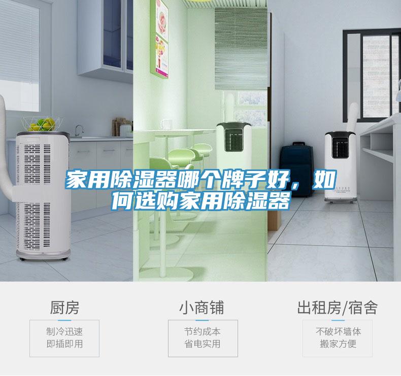 家用除濕器哪個(gè)牌子好，如何選購(gòu)家用除濕器