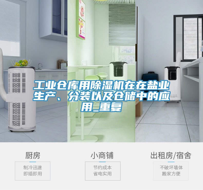 工業(yè)倉(cāng)庫用除濕機(jī)在在鹽業(yè)生產(chǎn)、分裝以及倉(cāng)儲(chǔ)中的應(yīng)用_重復(fù)