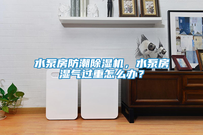 水泵房防潮除濕機(jī)，水泵房濕氣過重怎么辦？