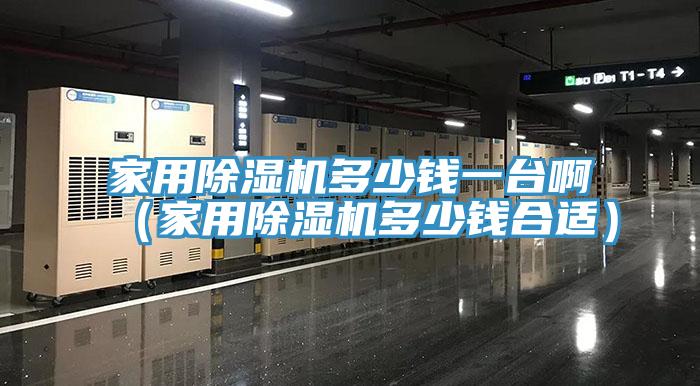 家用除濕機(jī)多少錢一臺?。矣贸凉駲C(jī)多少錢合適）